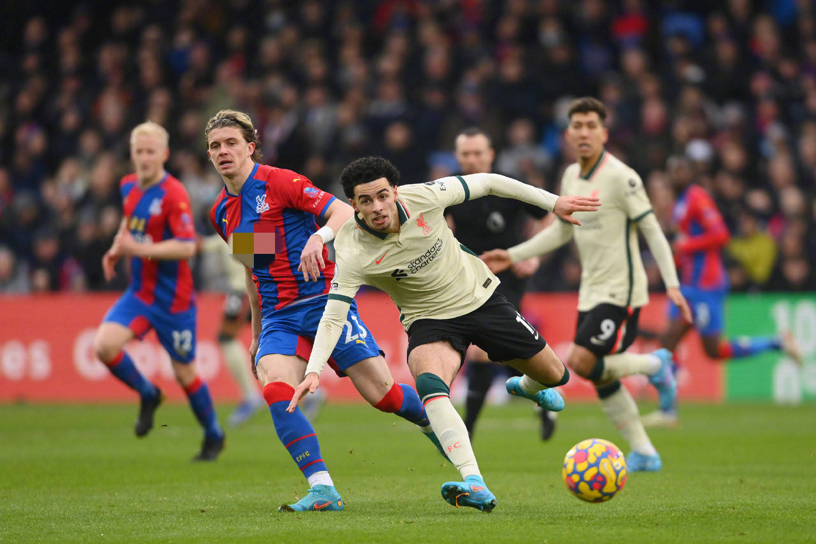 的残酷性 的残酷性